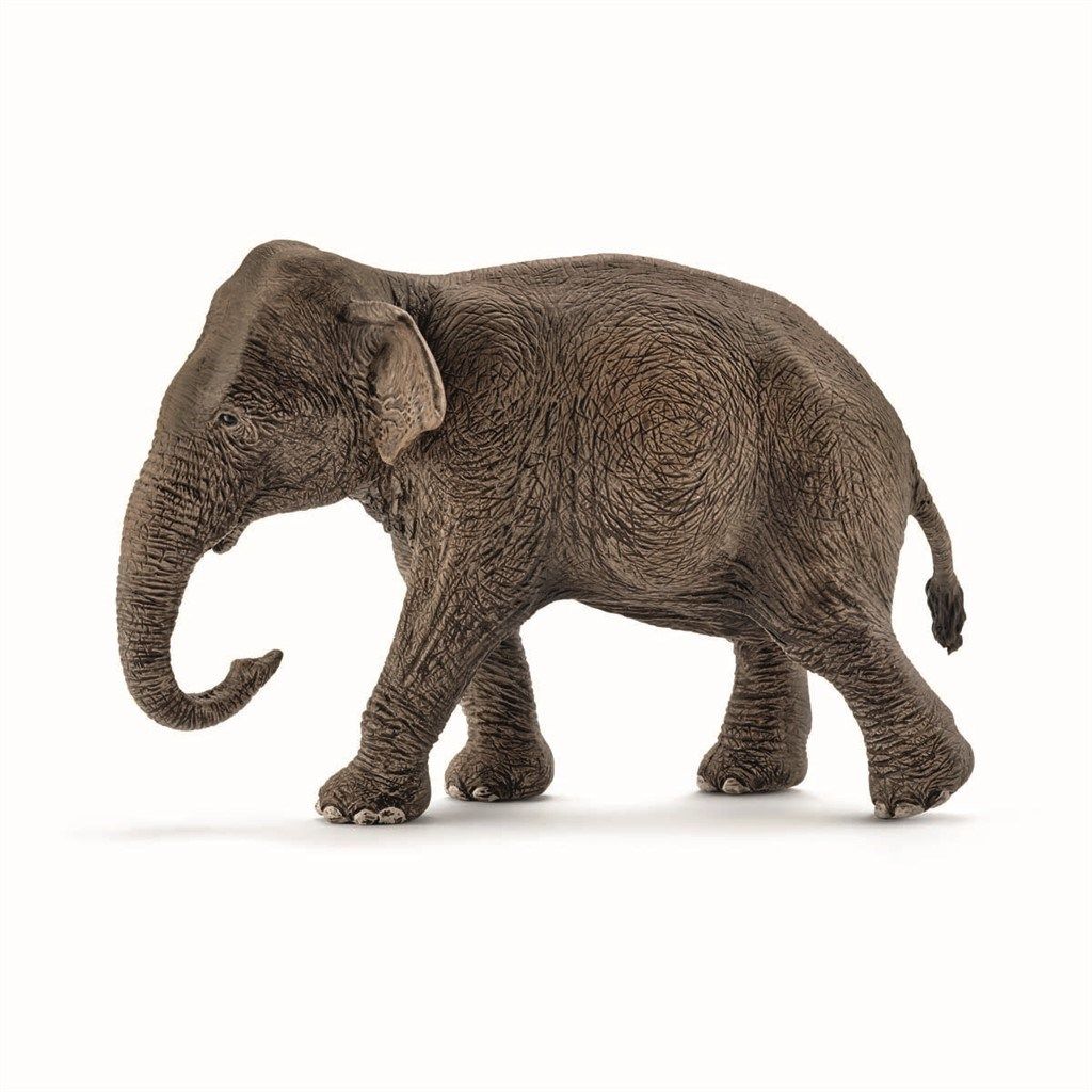 Asiatisk Elefant - Hun, Schleich